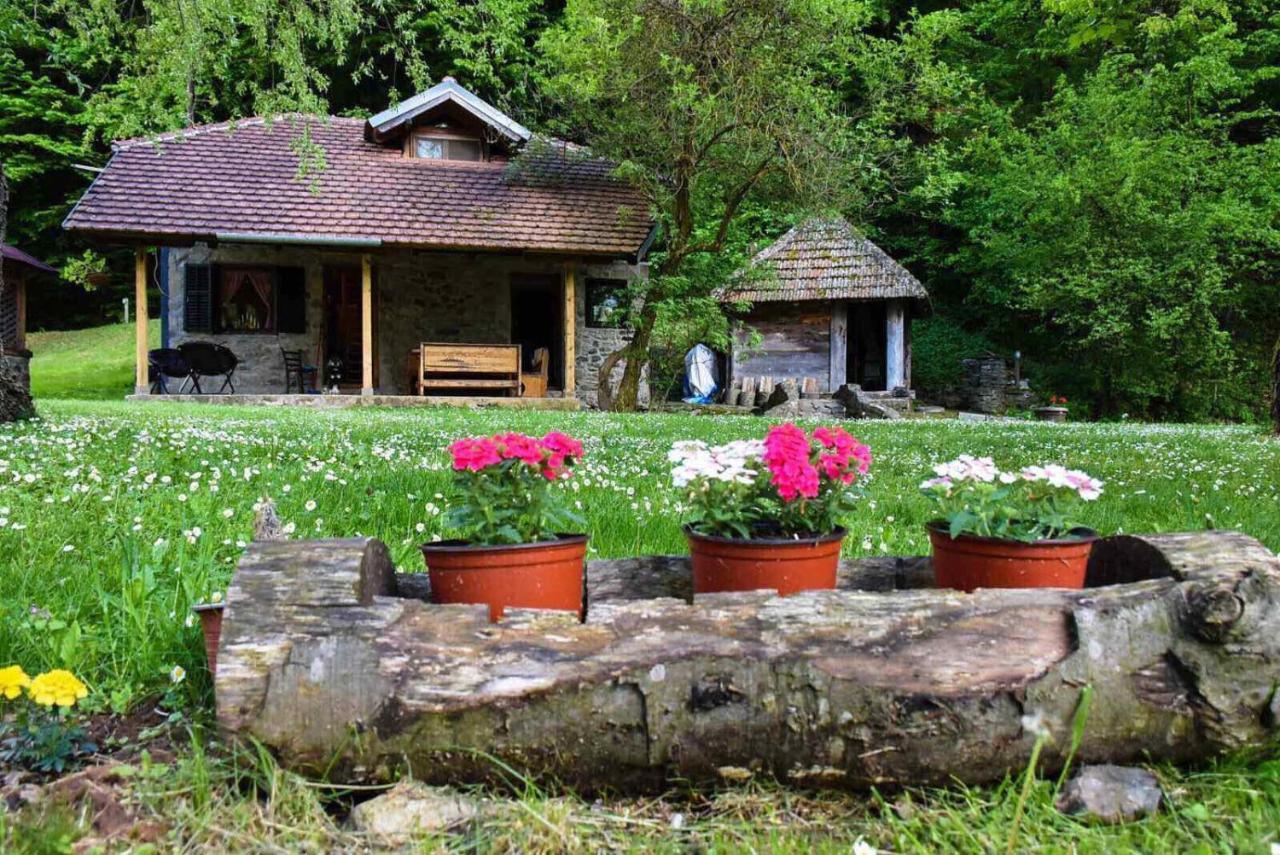 Villa Kuca Za Odmor Todorovica Mlin Gornji Milanovac Exterior foto
